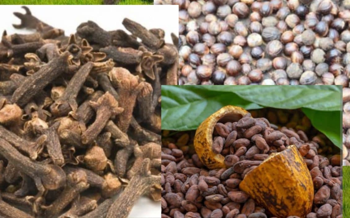 harga-komoditi-cengkeh-pala-dan-kakao-di-sula-variatif