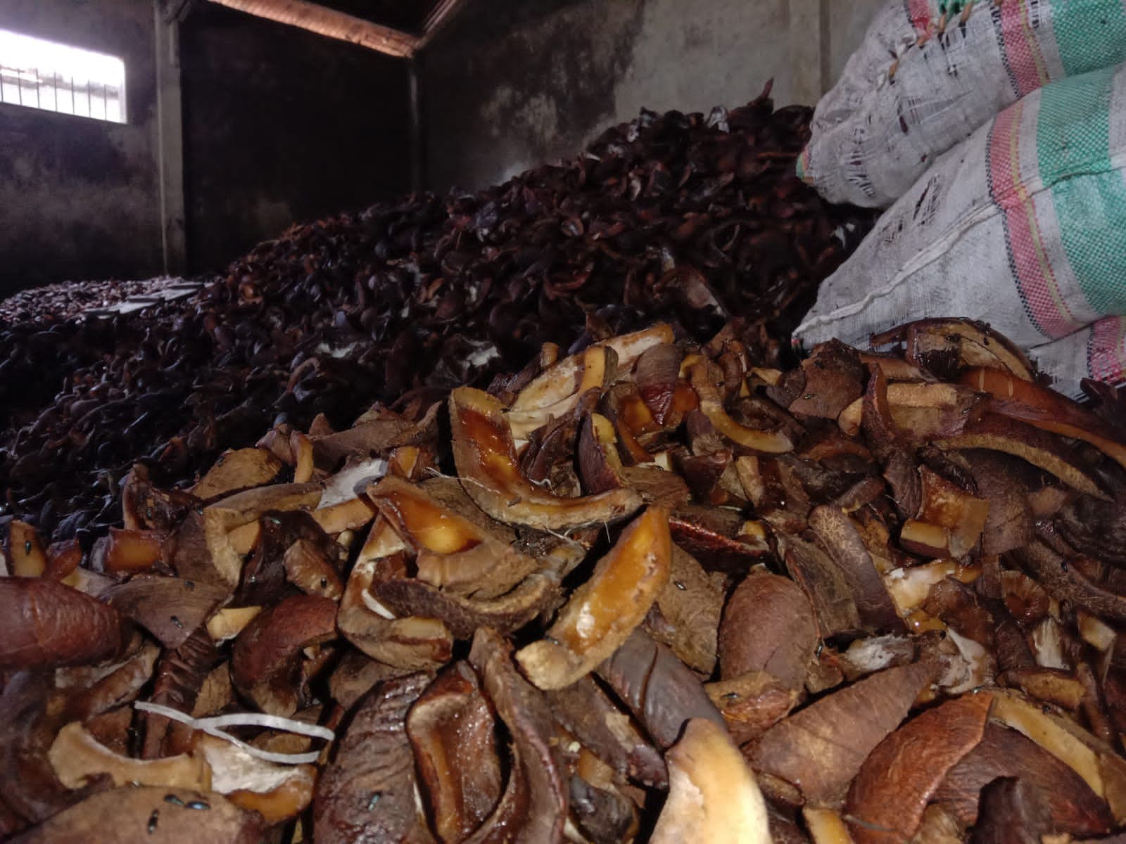 ini-harga-komoditi-kopra-di-sula