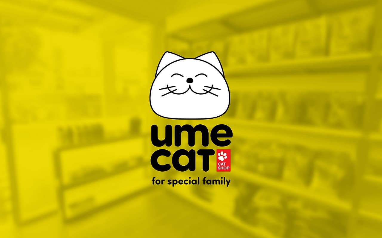hallo-pecinta-kucing-ayo-intip-makna-dari-nama-petshop-baru
