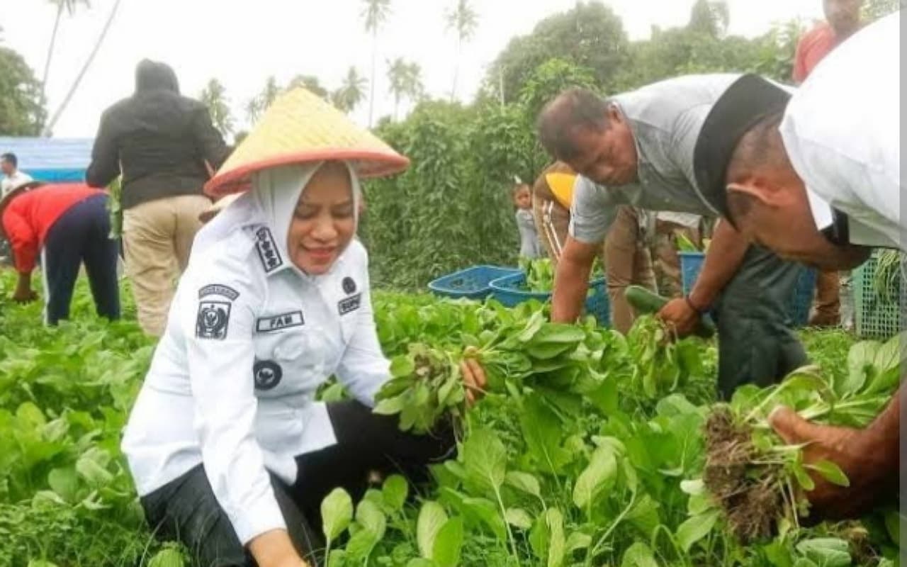 bupati-fifian-hadiri-panen-raya-kelompok-tani-binaan-dinas-pertanian